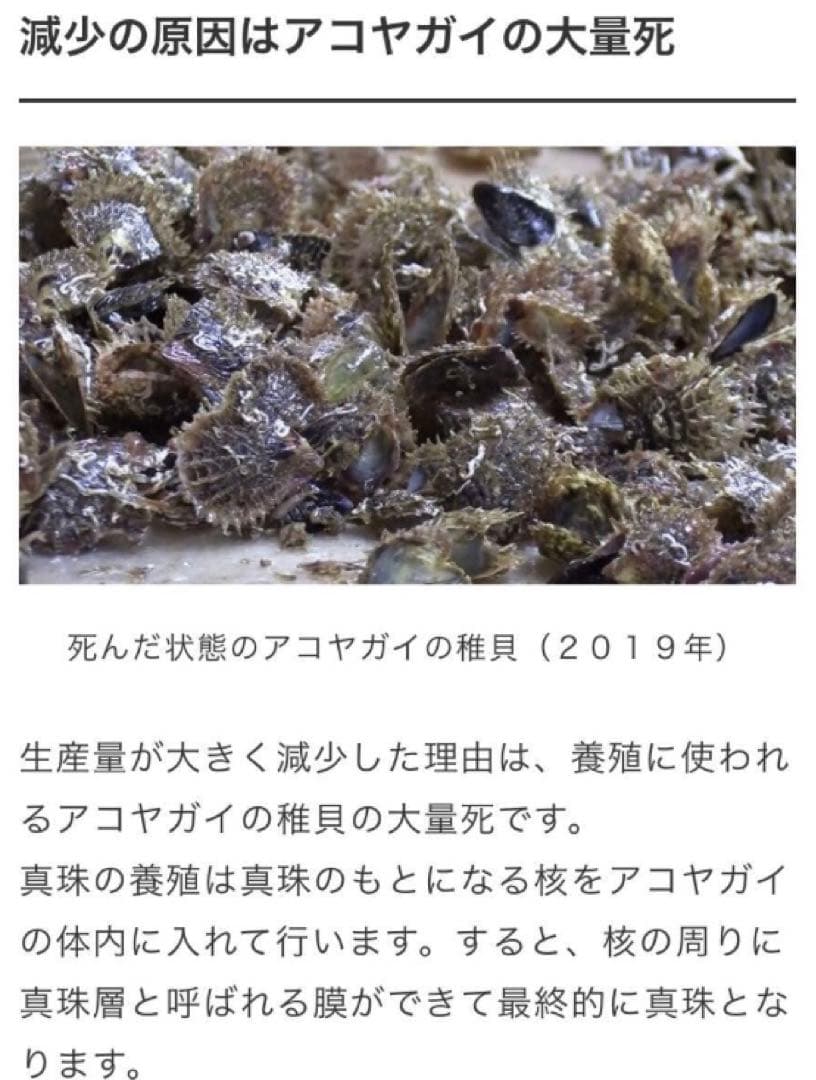 K14WG天然南洋白蝶真珠　大珠スイングピアス　　14.23/14.39mm