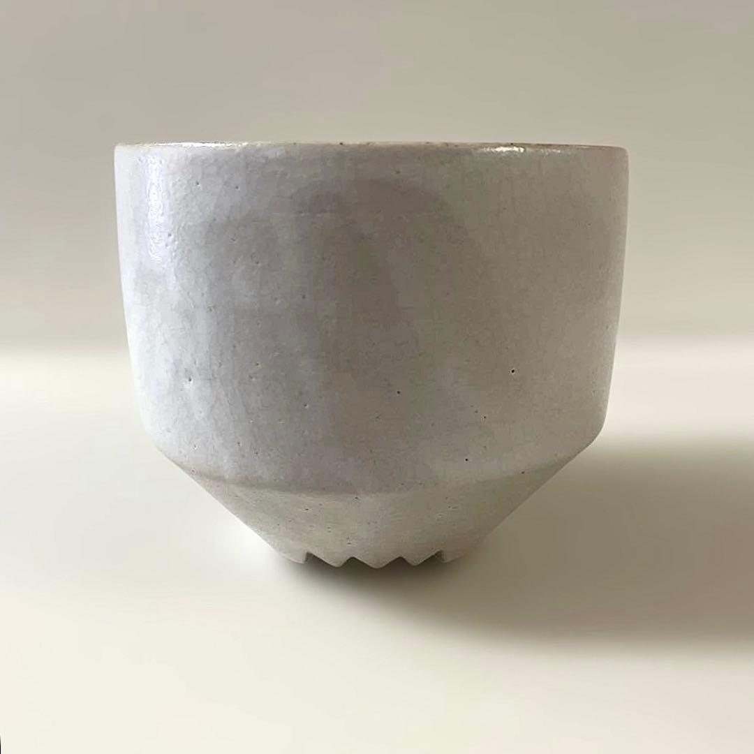 Botanize Invisibleink 鉢 ボタナイズ インビジブルインク