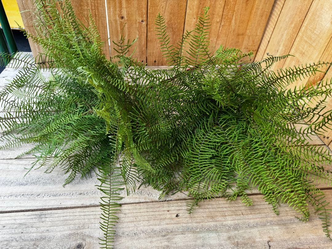 maru様 リクエスト 2点 まとめ商品