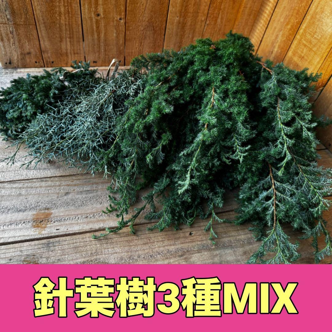 maru様 リクエスト 2点 まとめ商品