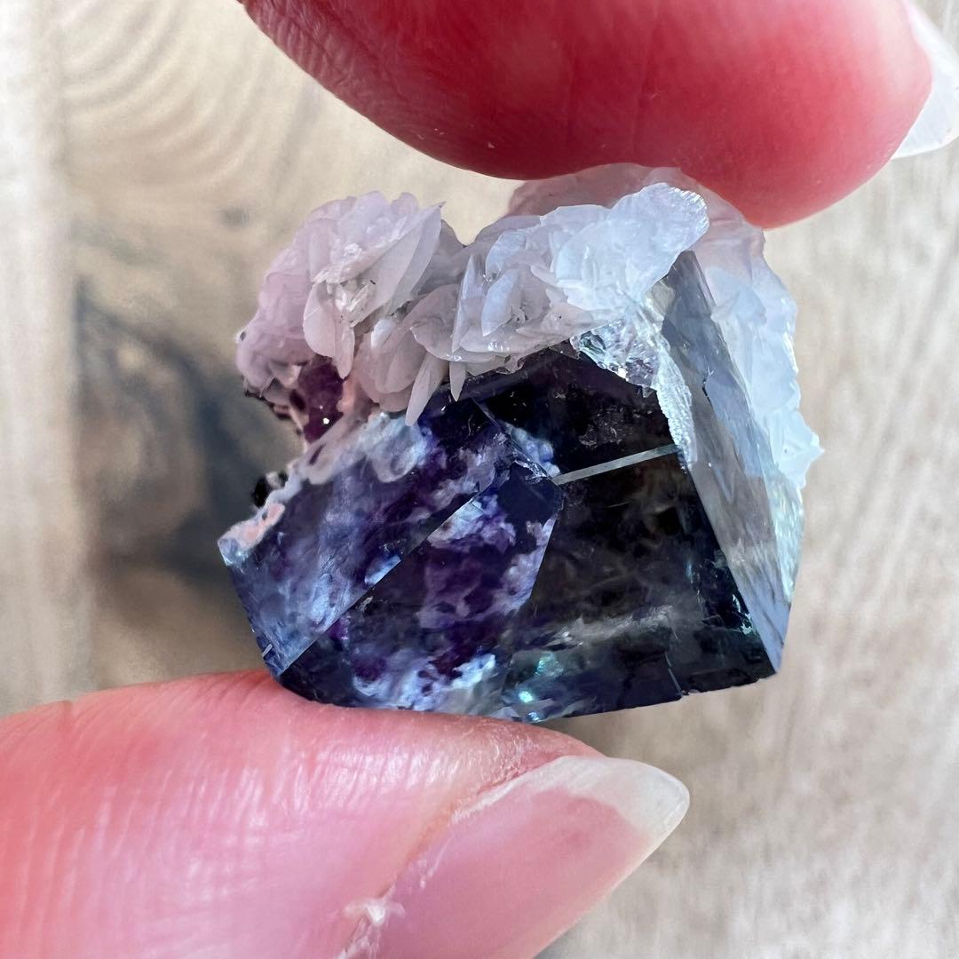 フローライト パイライト F2 カルサイト 共生 鉱物 標本 原石