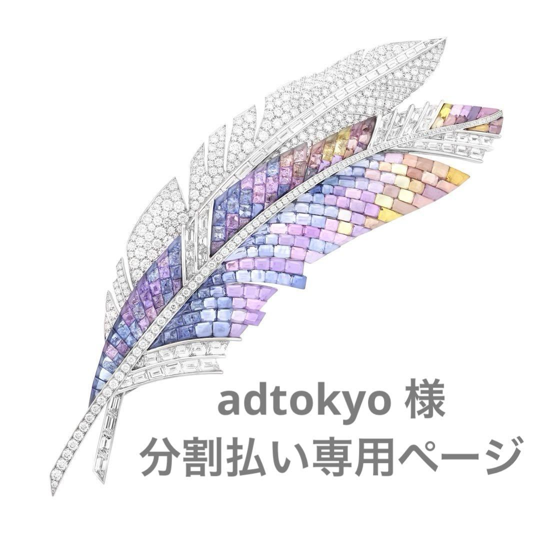 adtokyo 様　2回払い専用ページの1