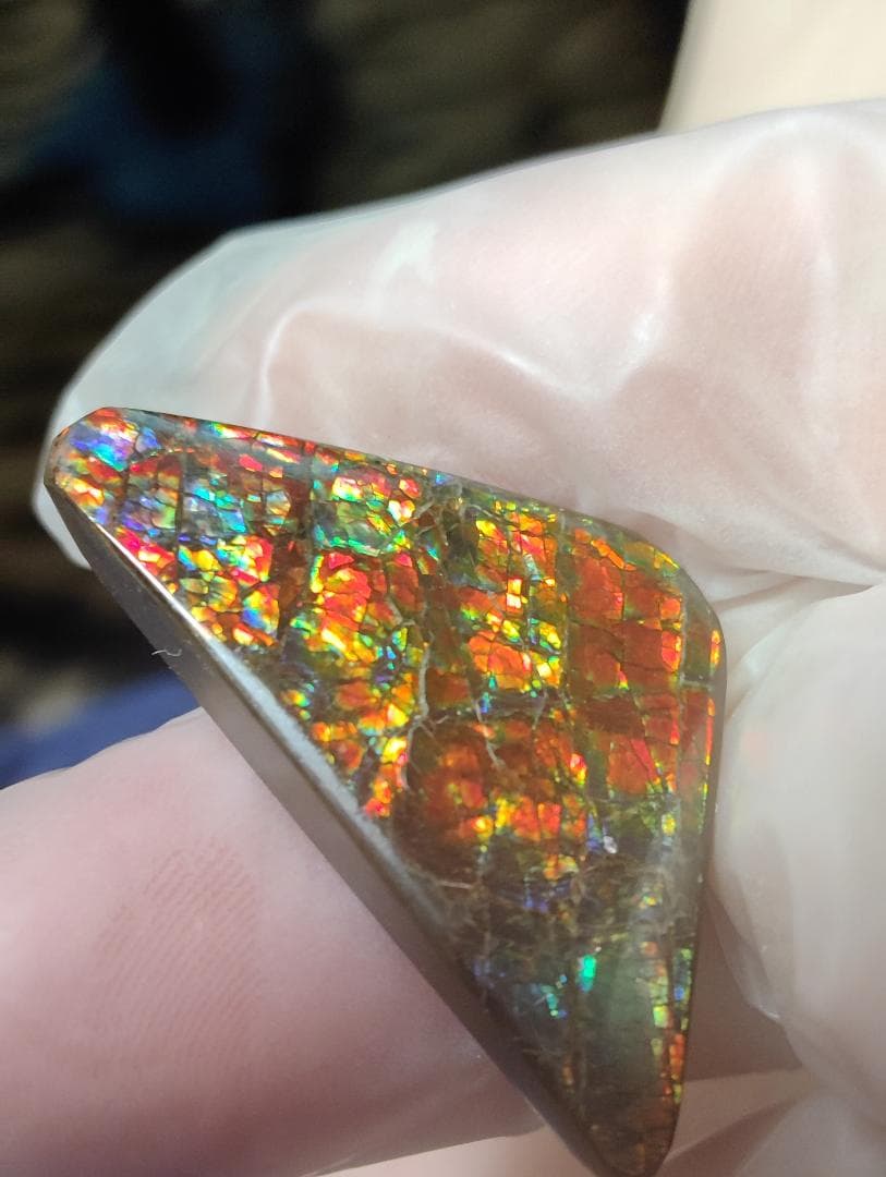 アンモライト　ルース　24-1414 23500