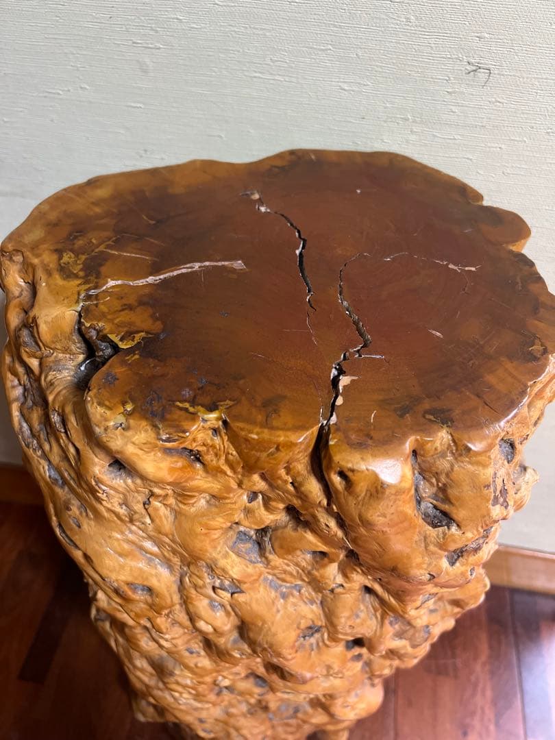 1061. 天然木　自然木　切り株