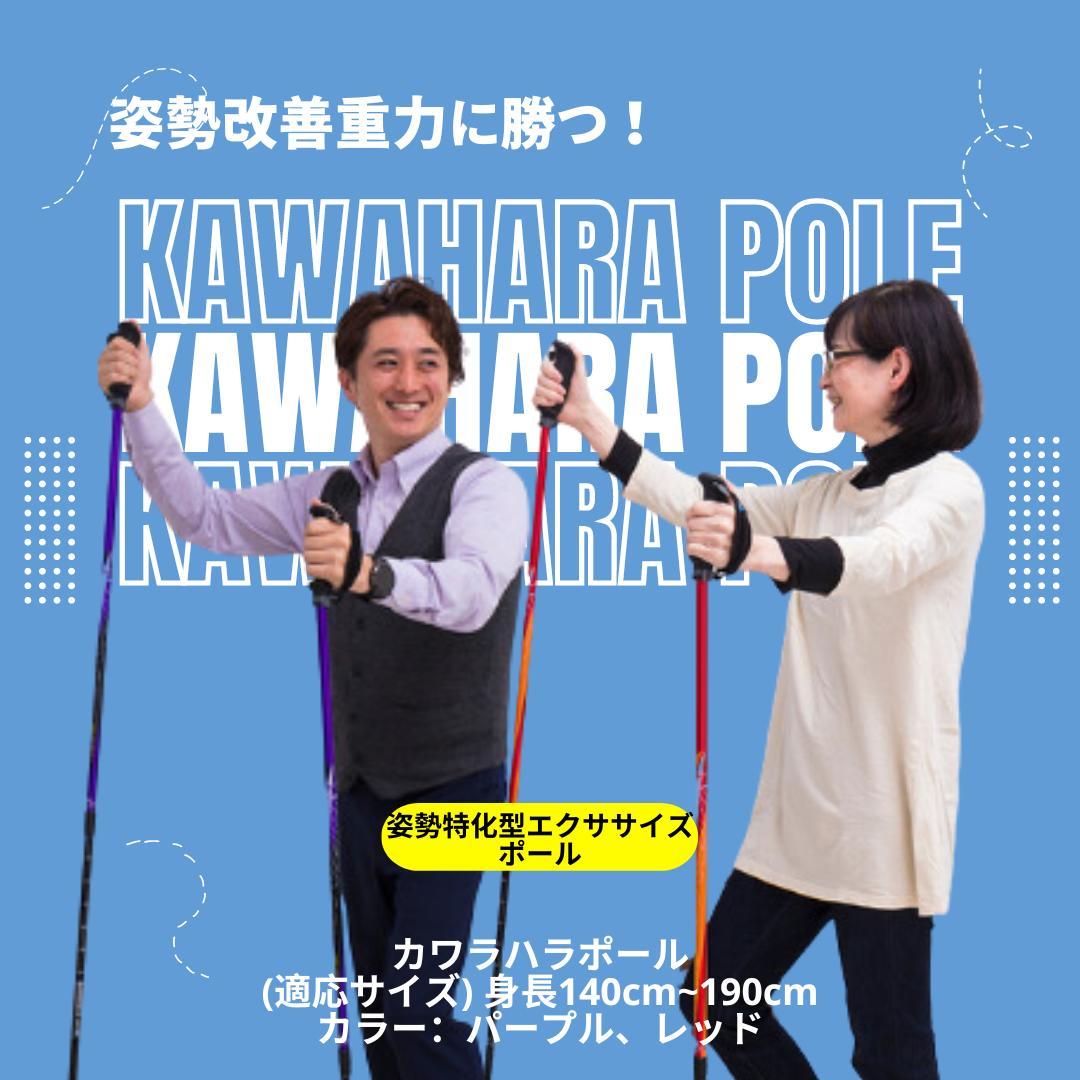 【新品】カワハラポール （紫）オンライン指導特典付き