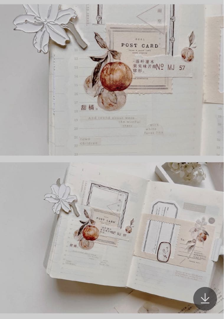 海外マスキングテープ 巻き売り No.243 果物 花柄 植物