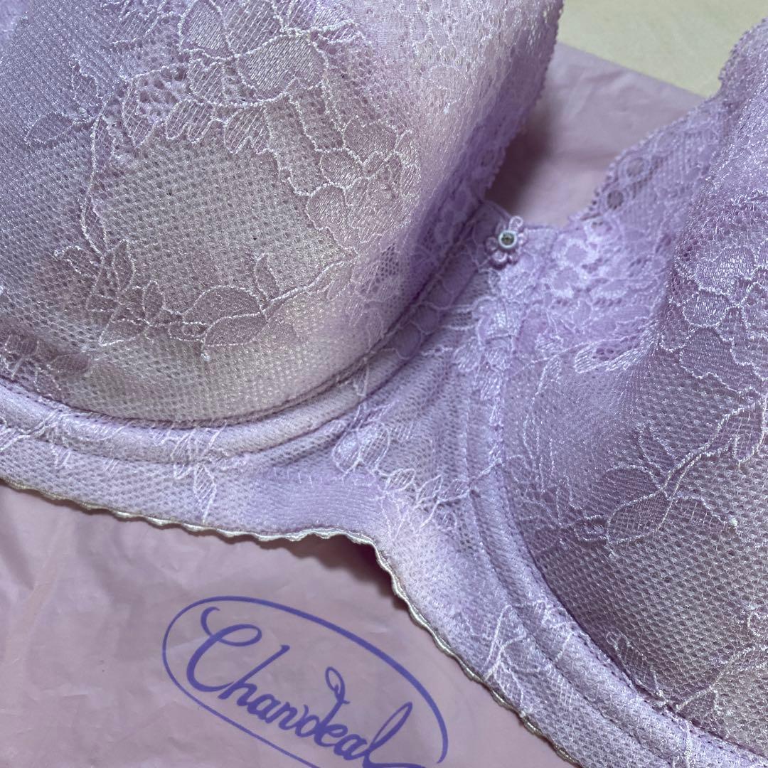 シャンデール　シャイニー　ブラジャー　E75 レディース　下着　夏用　ピンク