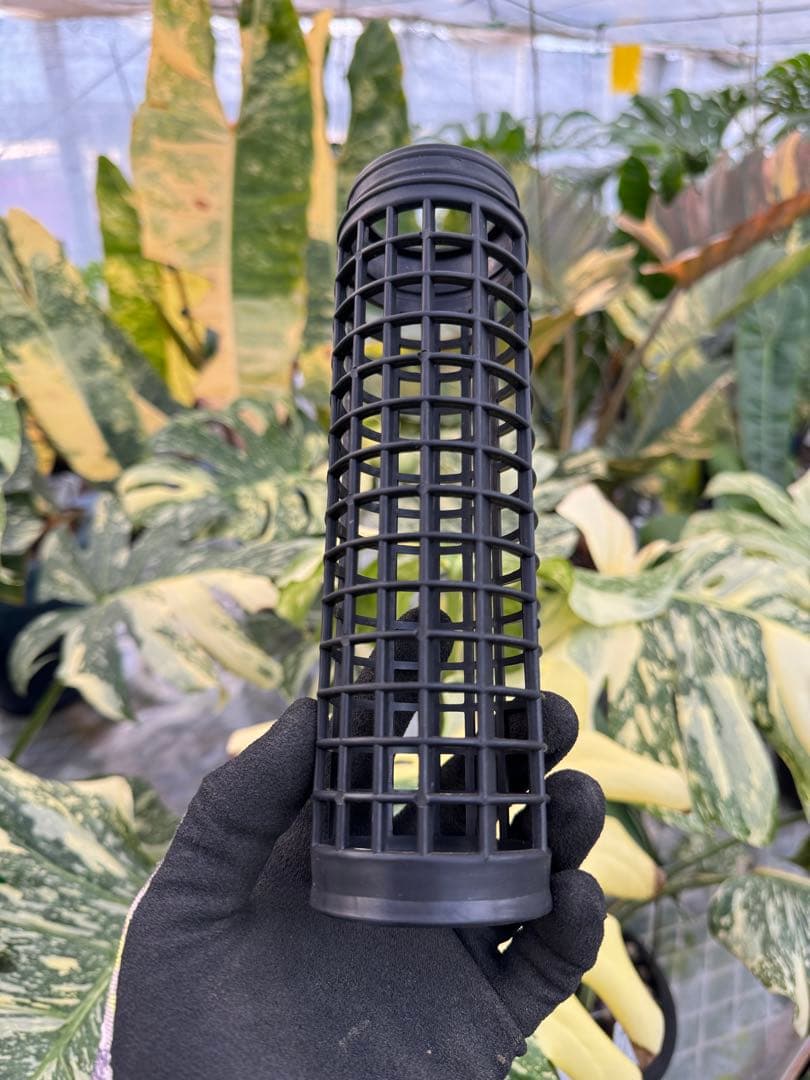 水苔無しモスポール　50本まとめ　20cmサイズ