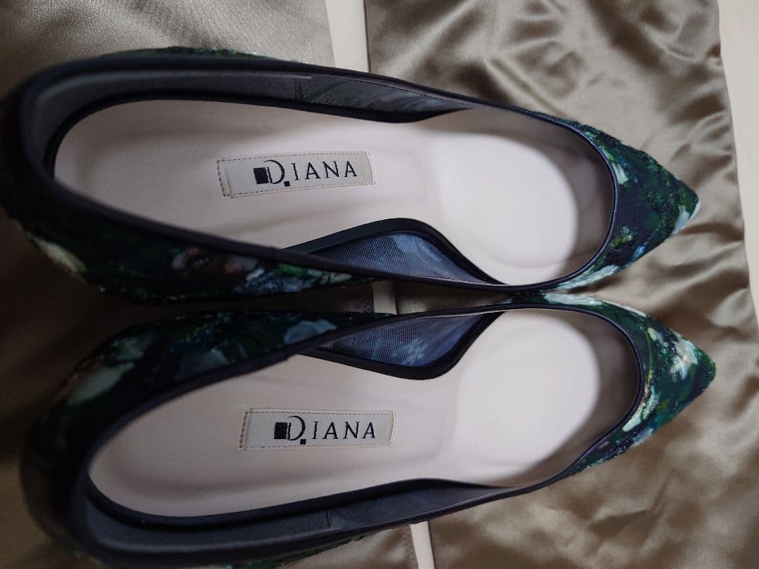 DIANA ダイアナ ルノワール 絵画シリーズ パンプス 24.5cm クロ