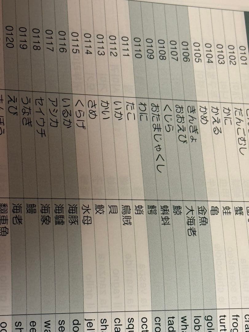 FLASHカードライブラリー かな絵ちゃん A・B・Cセット