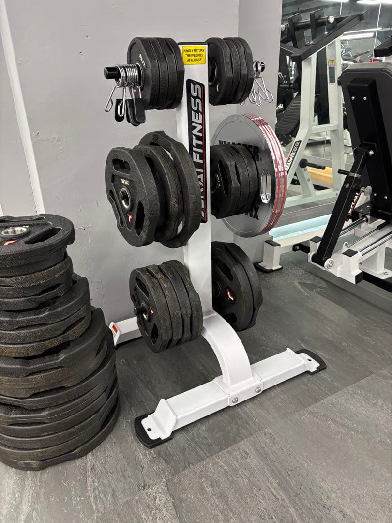 JERAI FITNESS ジェライフィットネス バーティカルプレートツリー