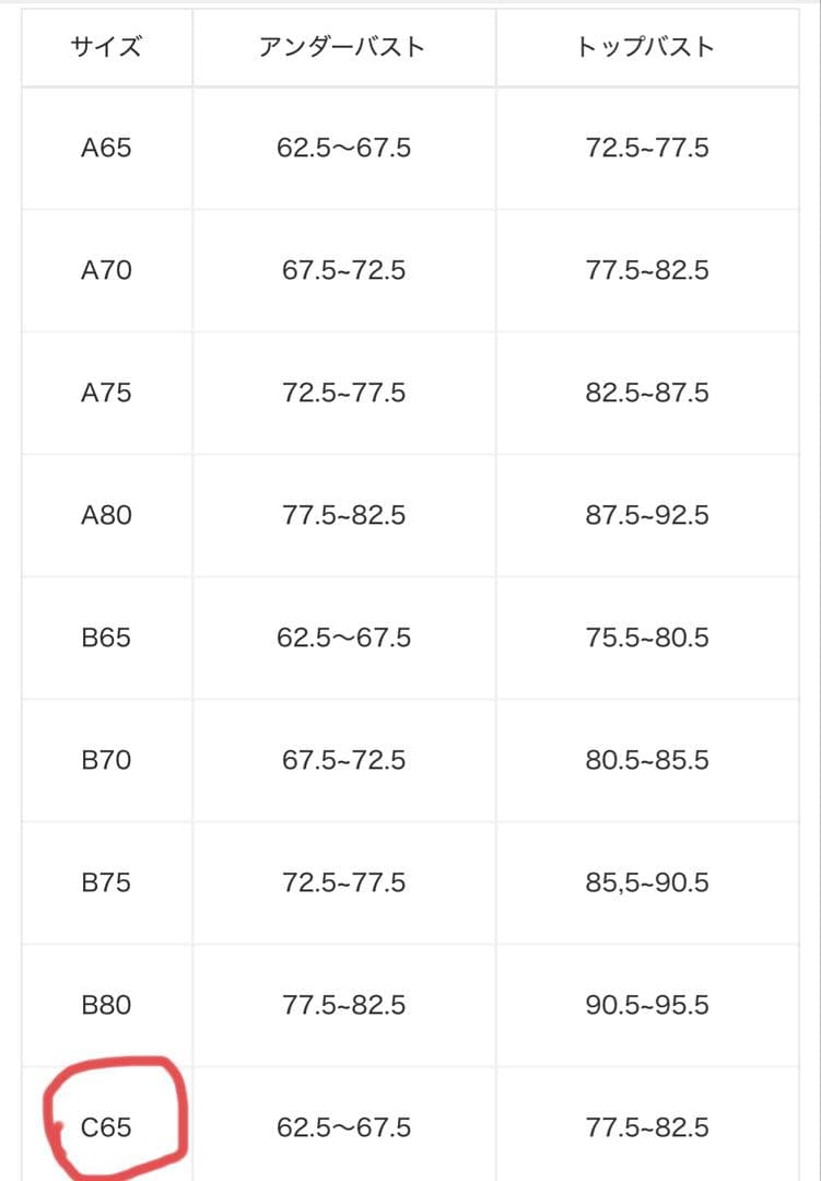 RAVIJOUR LINGERIEAM グラマーアップブラセット