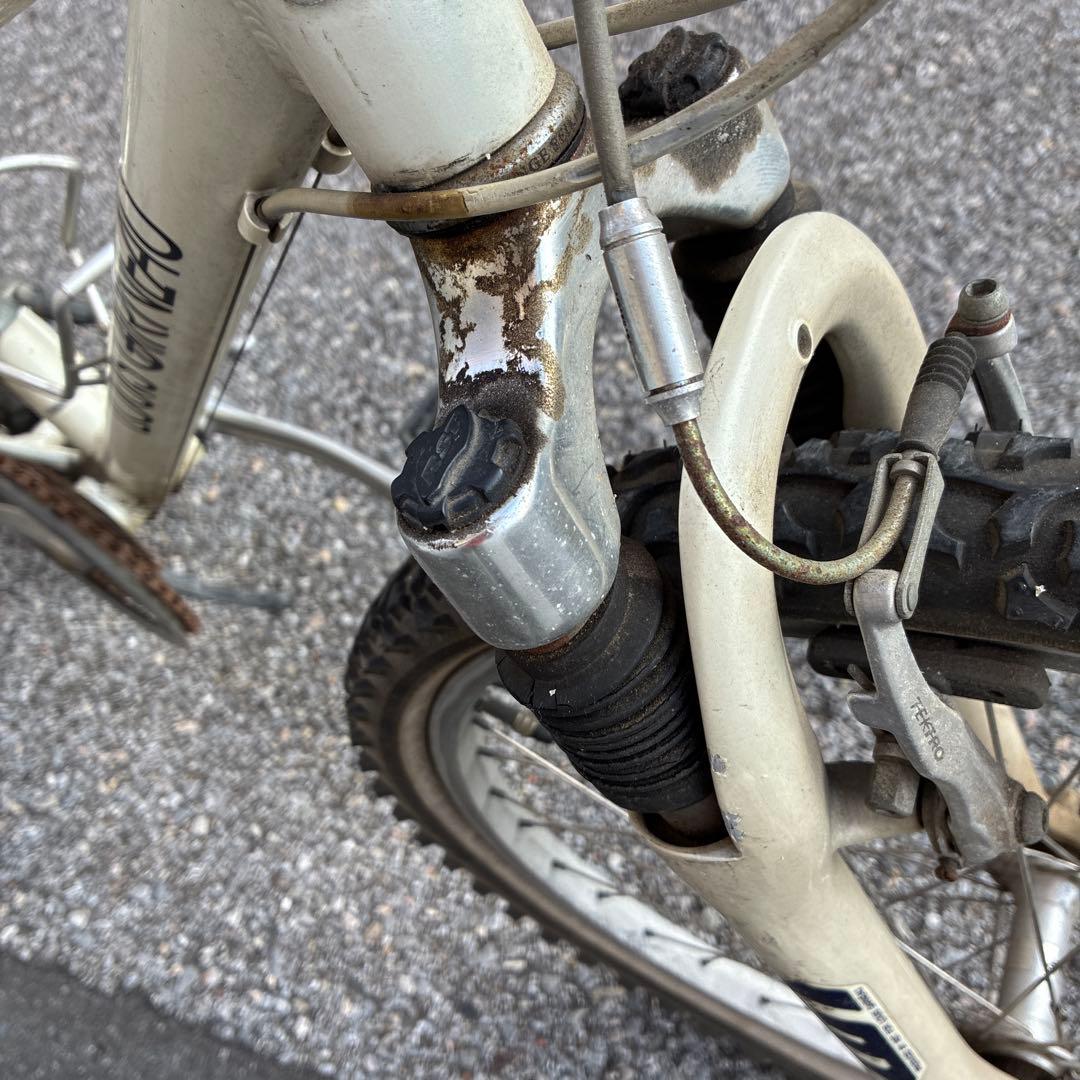 お値下げ‼️LOUISGARNEAU 24インチジュニアマウンテンバイク　ルイガノ