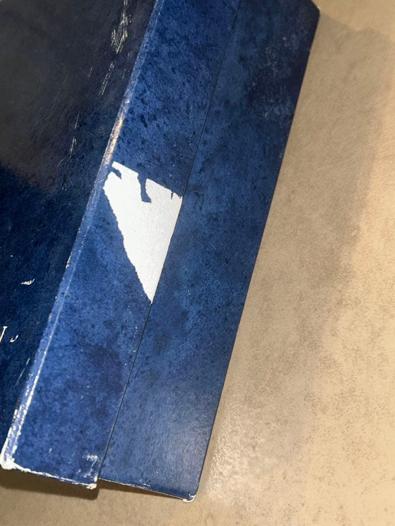   青い花柄 2枚セット 箱テープ剥がれ跡アリ