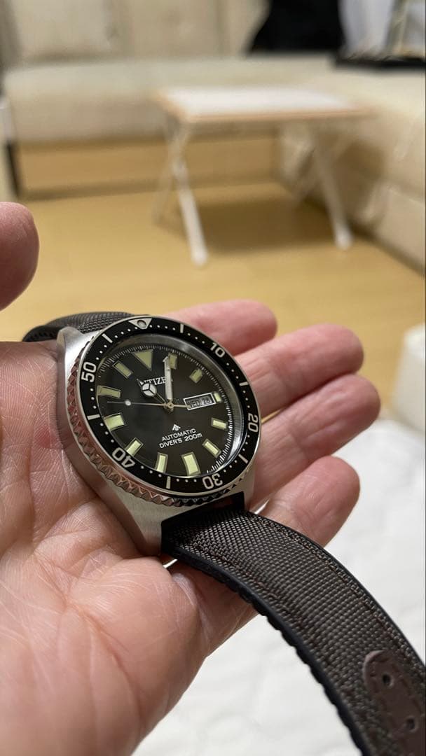 CITIZEN NY0120-01E プロマスター 自動巻 腕時計