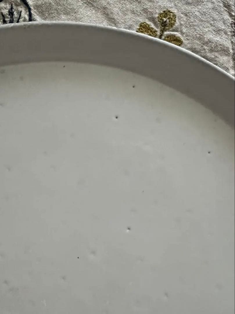 ASTIER de VILLATTEアスティエ Zeroラージプラッター28cm