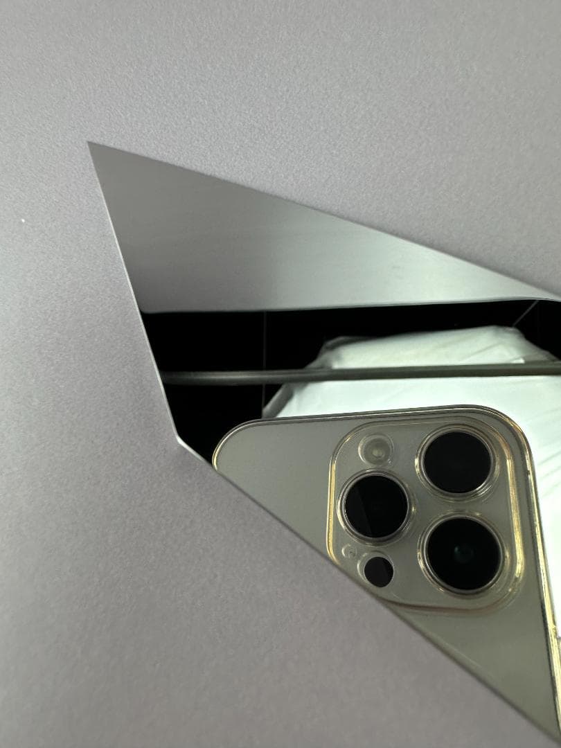 5632 完全ウルトラ鏡面 尺一 切付牛刀 スネークウッド黒水牛角二本銀巻八角柄