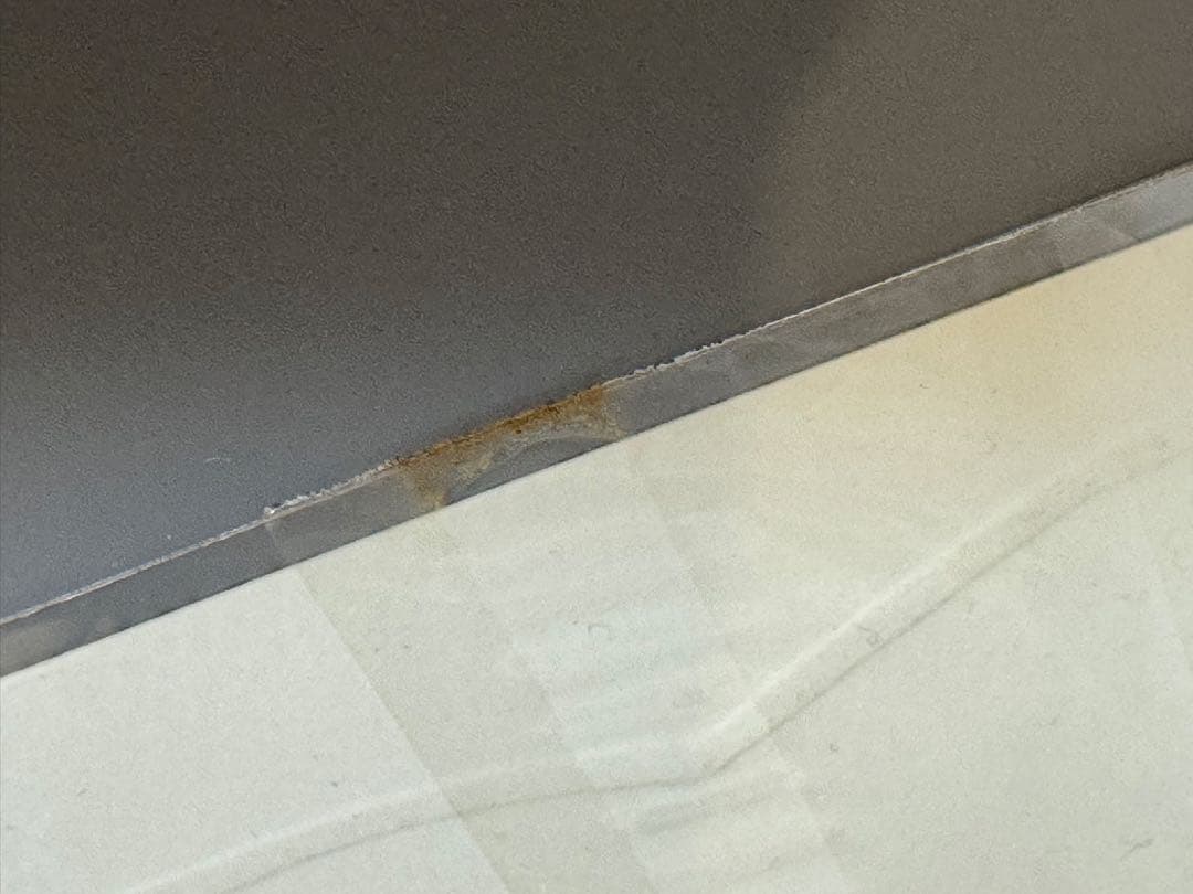 小林賢太郎☆鼻兎サイン入りポストカード