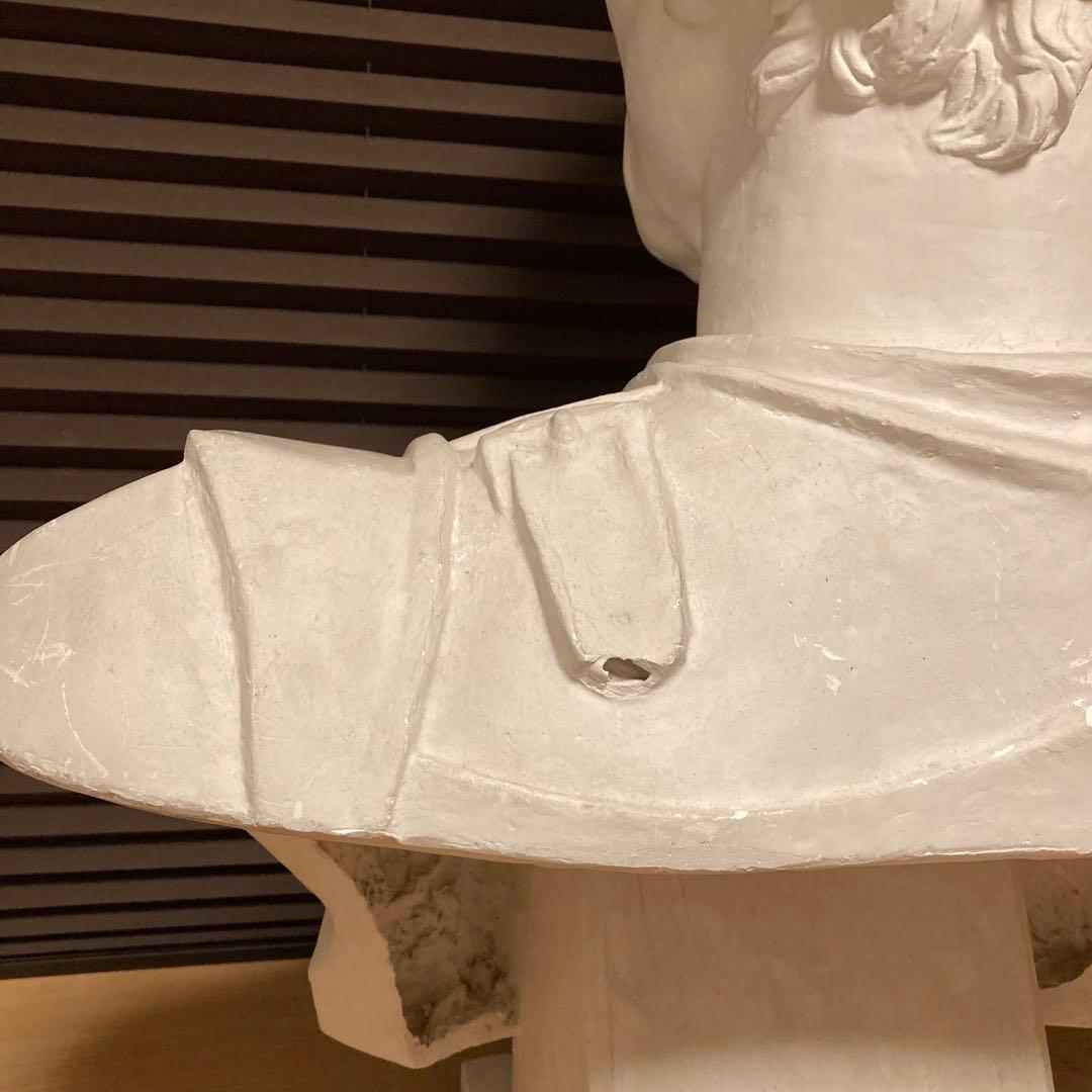 石膏像 ガッタメラータ 胸像 デッサン像 美術 芸術