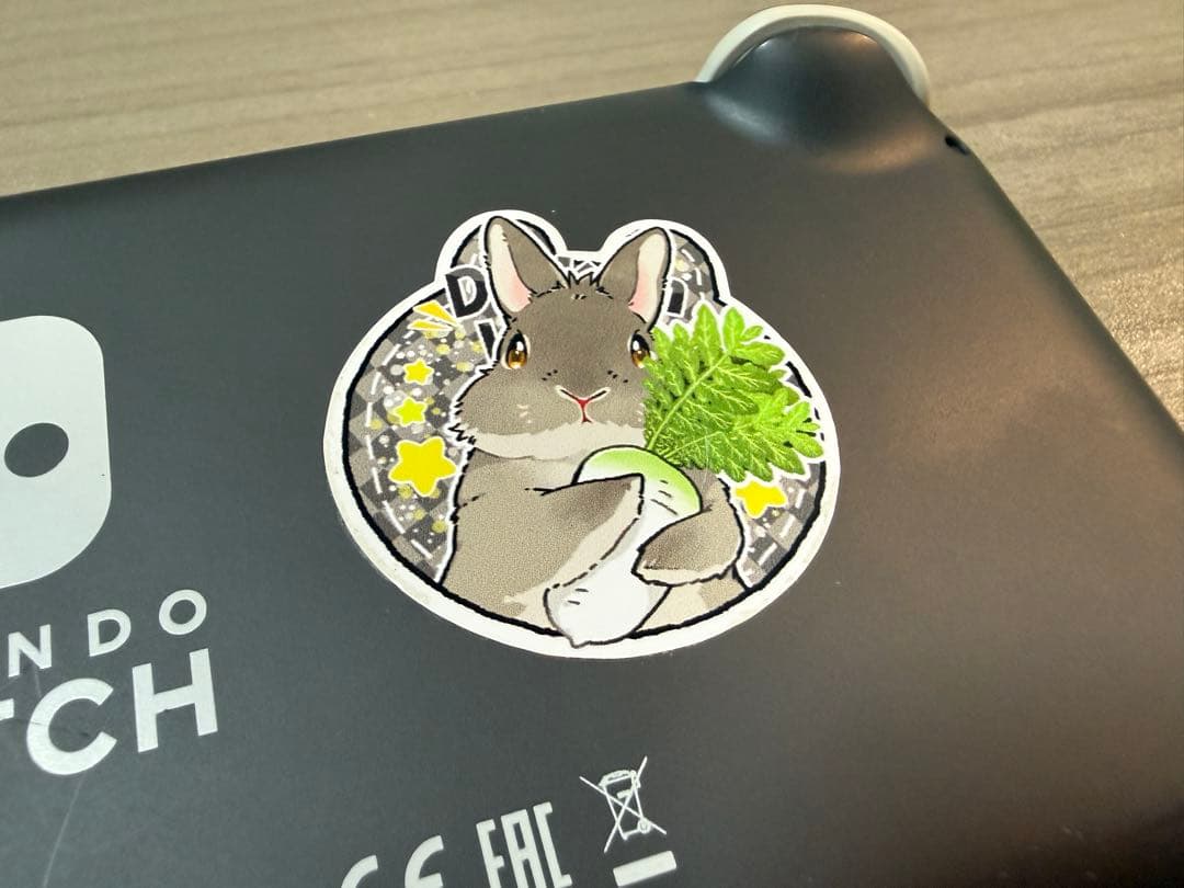 Nintendo Switch Lite グレー 本体　ケース付(どうぶつの森)