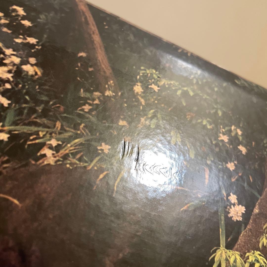 筋肉少女帯 空手バカボン 大槻ケンヂ レコード6枚