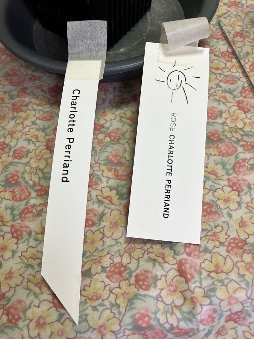 バラ苗　和バラ　正規品