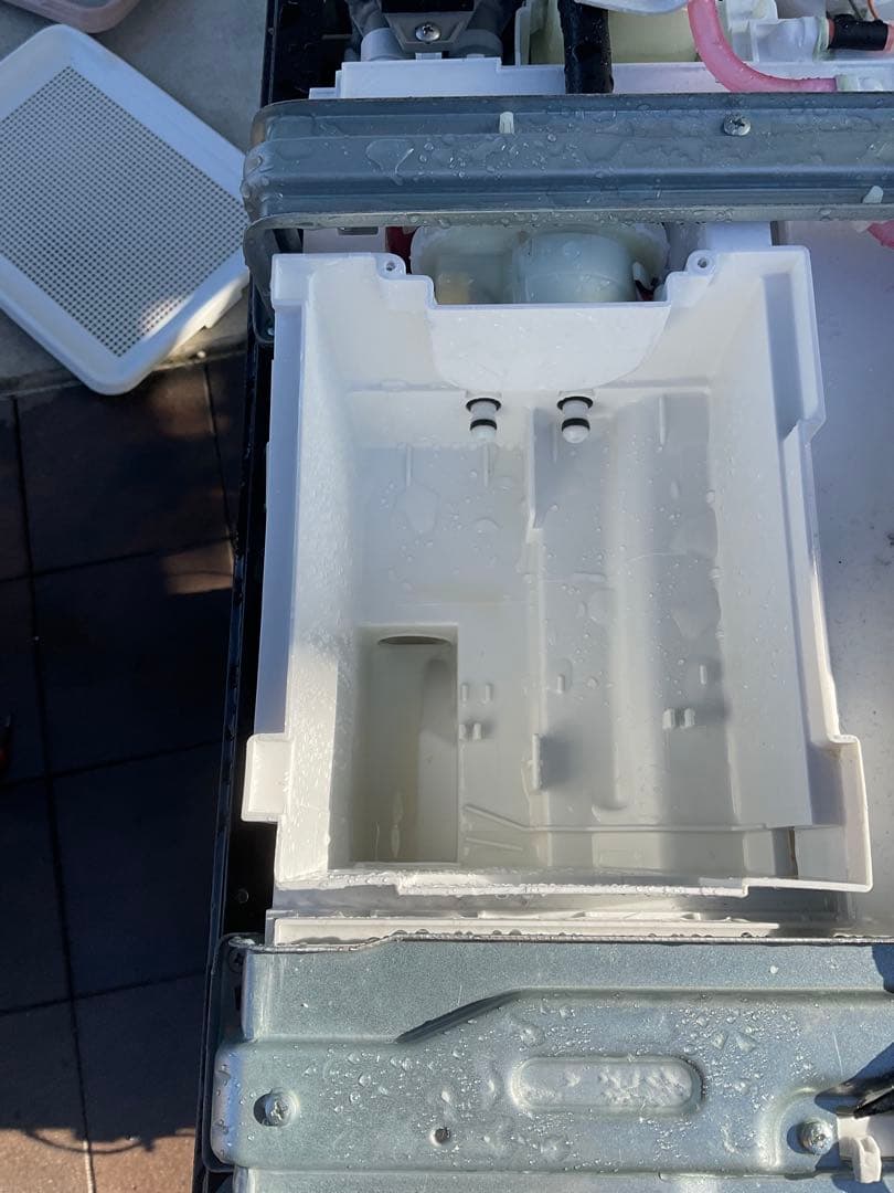 【分解洗浄済み】東芝ドラム式洗濯乾燥機　2022年8月購入(動作確認済み)