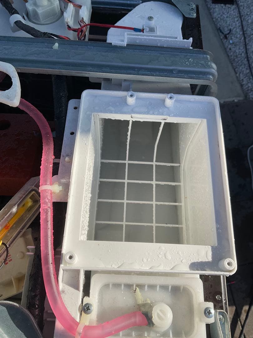 【分解洗浄済み】東芝ドラム式洗濯乾燥機　2022年8月購入(動作確認済み)