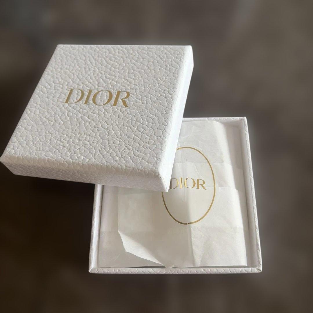 Dior ゴールドトーン ロゴスタッドピアス　片耳