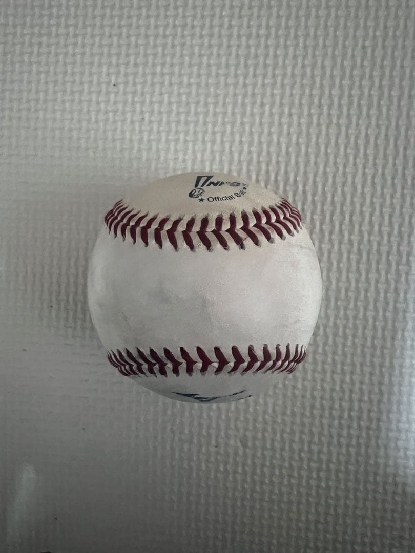 【最終価格】横浜DeNAベイスターズ　入江大生　選手　直筆サインボール