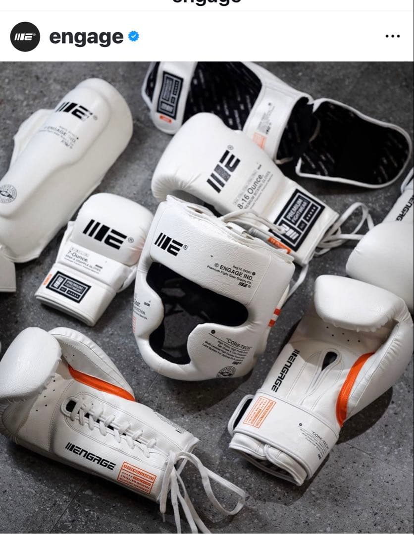 Engage ヘッドギア【新品.未使用.日本未発.売入手困難】