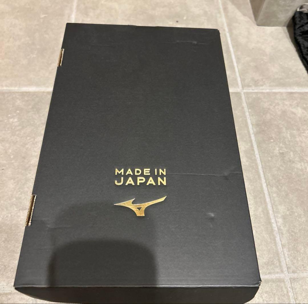 Mizuno モレリアネオ2 28.5センチ