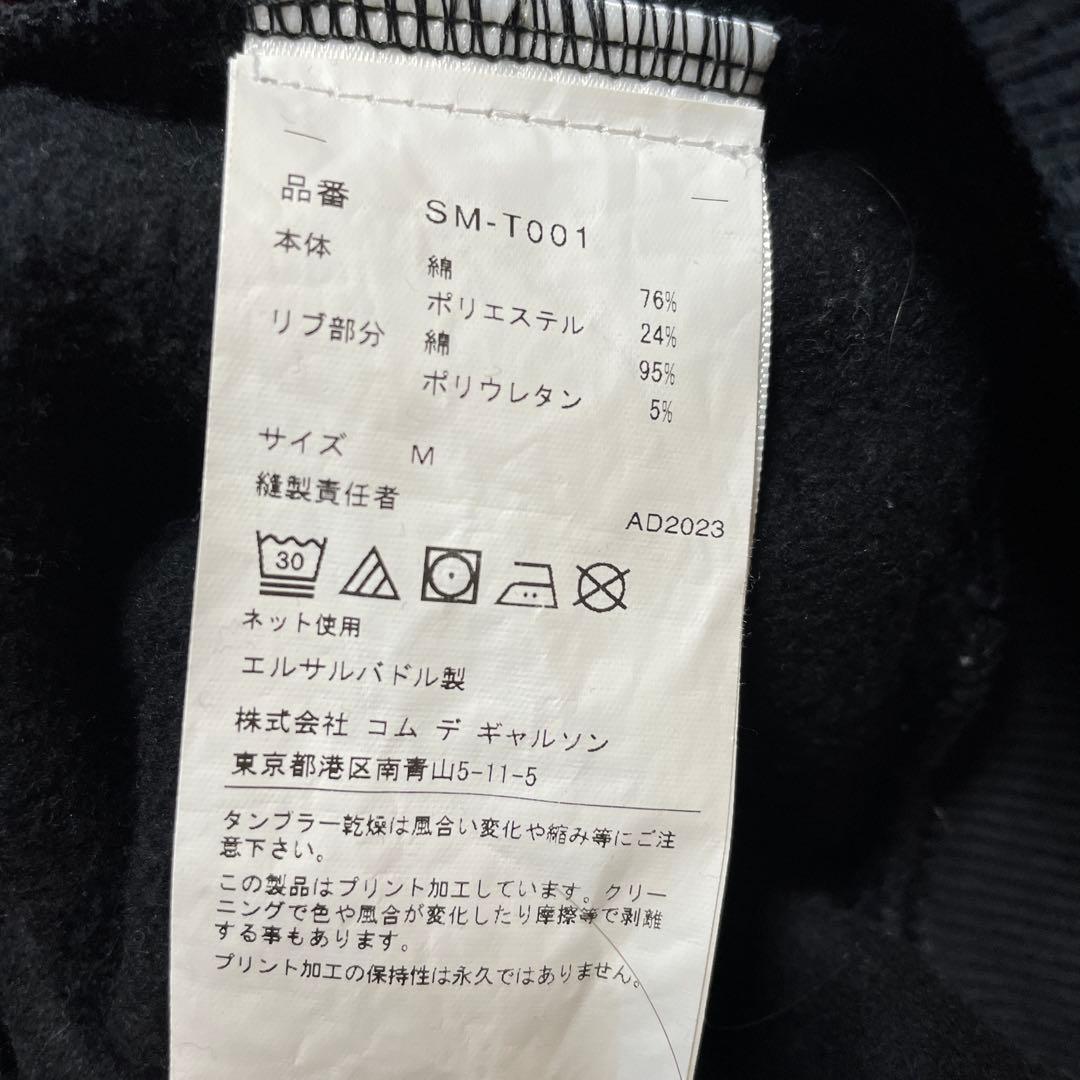 フ*ん様 値下げ不可！CDG THE NORTH FACE ICON HOODI