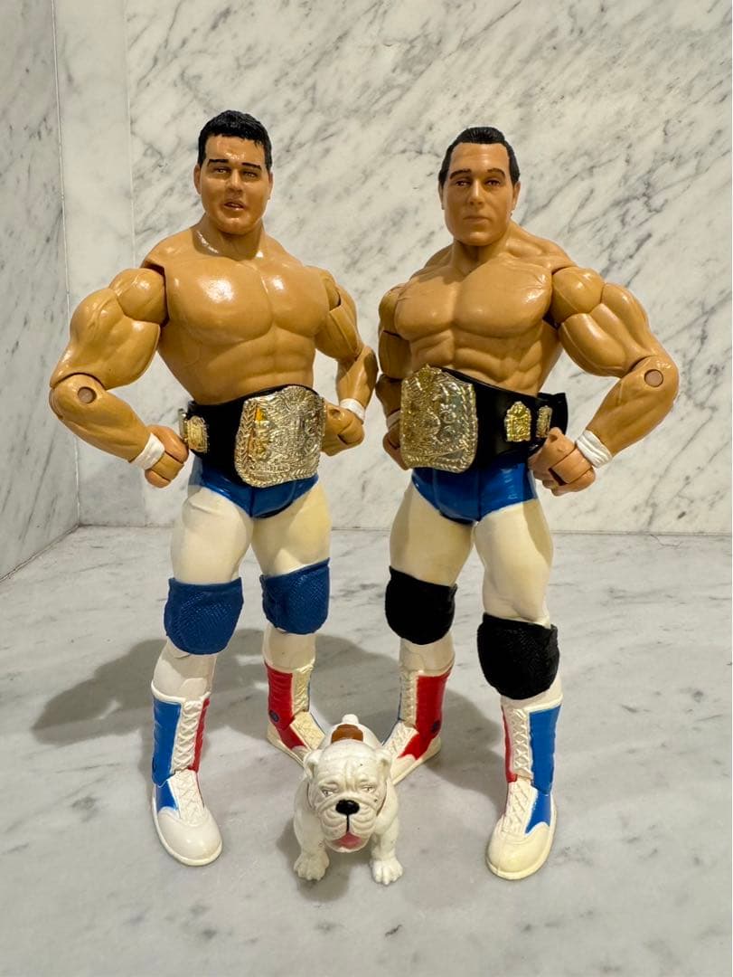 WWE WWF ザ・ブリティッシュ・ブルドッグス プロレス フィギュア