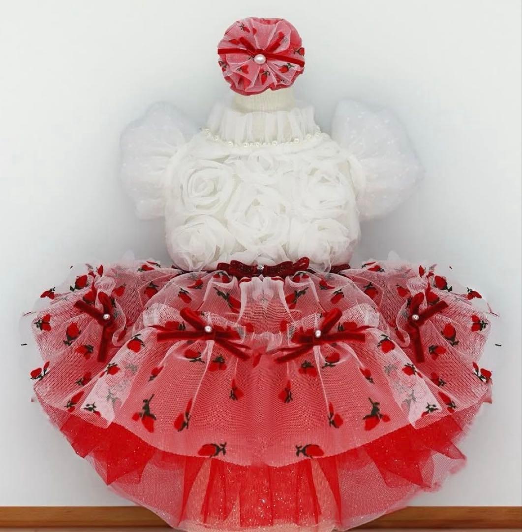 リュクスバーディLuxe birdieルージュワンピースバレッタセット犬服レッド