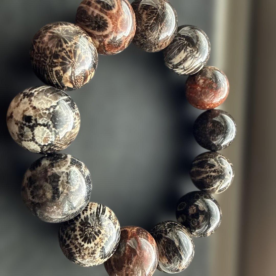 天然黒珊瑚ブレスレット ブラックフォッシルコーラル 珊瑚化石