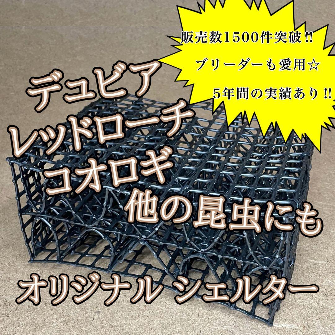 「M様　シェルター (M)×2」