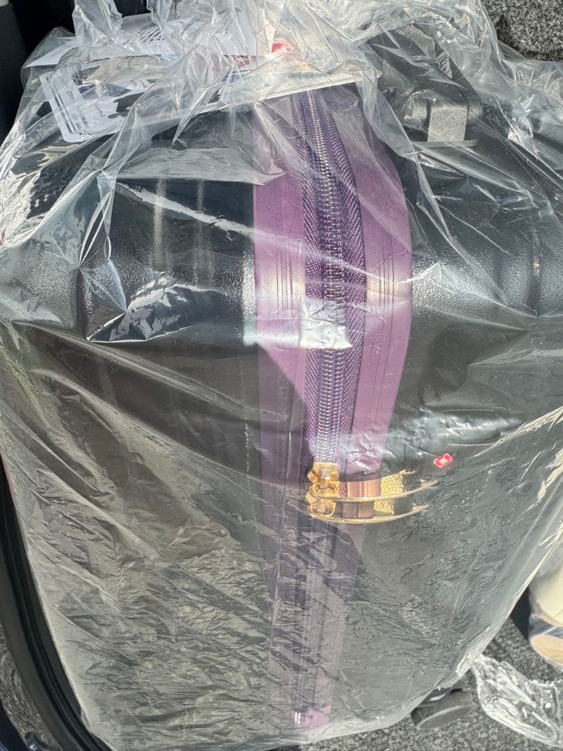 メルカリ便 しまむら ちはる ディズニー エルサ ハッピーバッグ キャリーバッグ