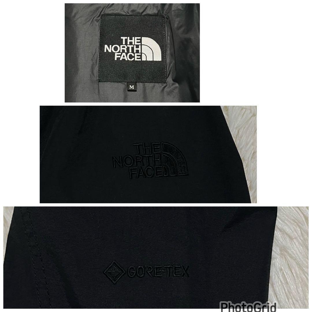 THE NORTH FACE GTX セローマグネトリクライメイトジャケット