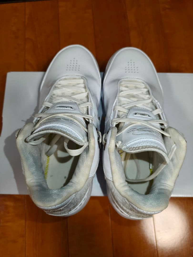 レブロン NXXTGEN AMPD(28.0cm) WHITE