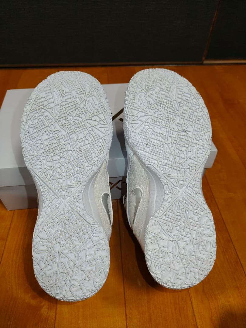 レブロン NXXTGEN AMPD(28.0cm) WHITE