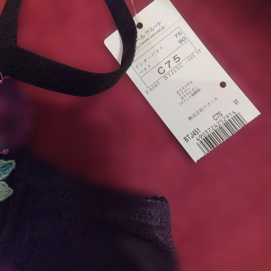 サルート　51 C75 ソングL