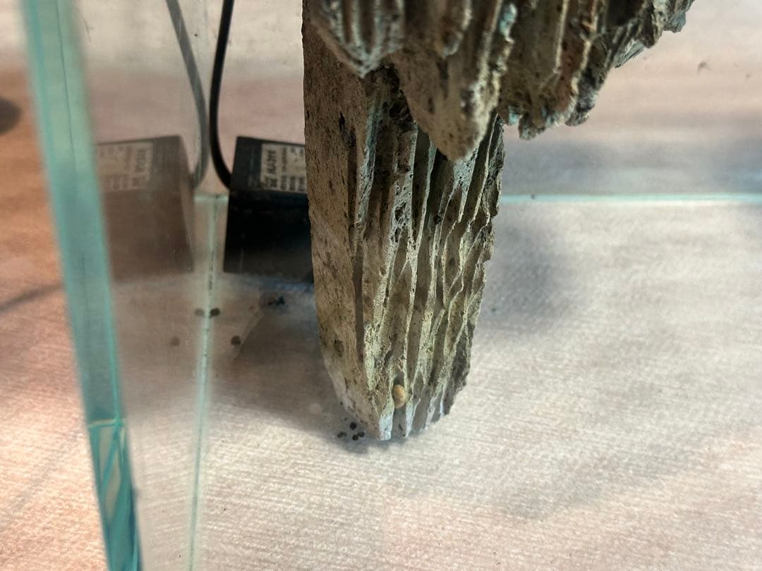 水槽 オーダー品