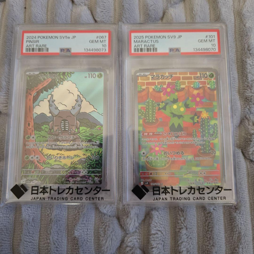 カイロス AR マラカッチAR PSA10