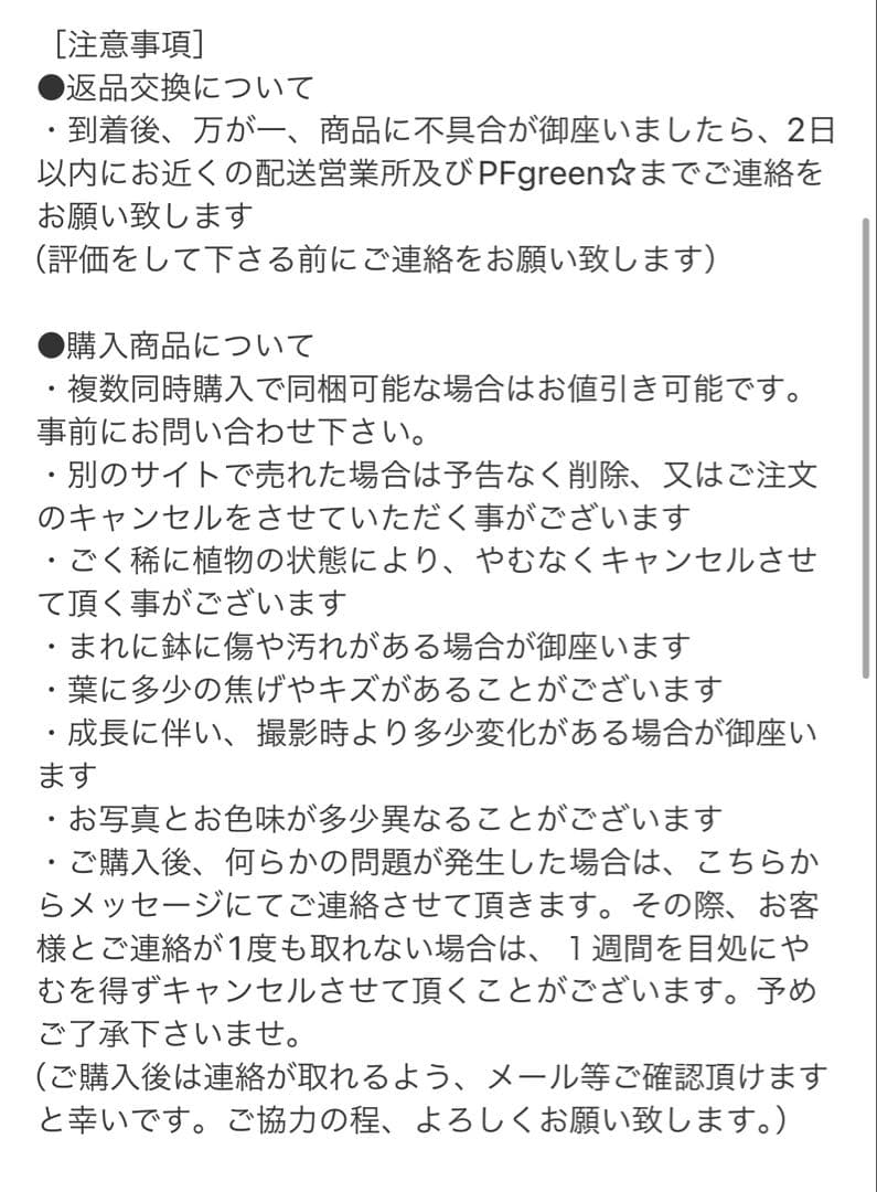 ［現品］【希少】N5 モンステラ　斑入り　7号　レア　観葉植物　室内　大型