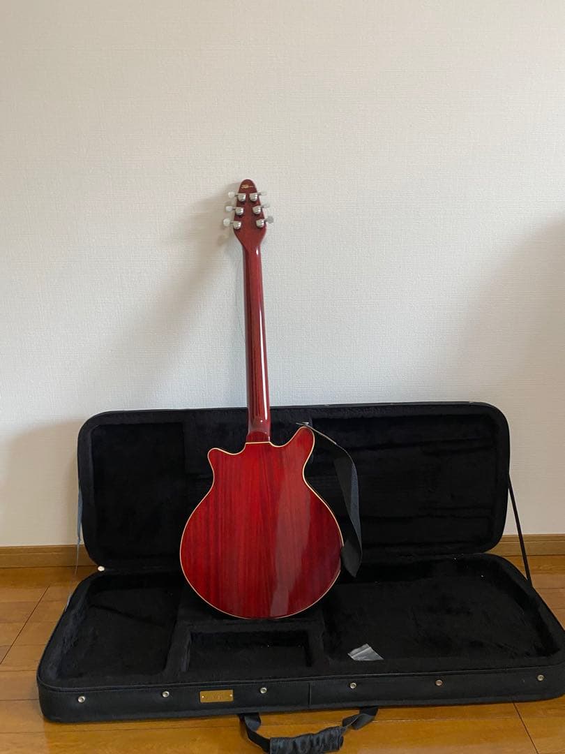 い*ぬ様 レッドスペシャルブランメイモデル ケース付き