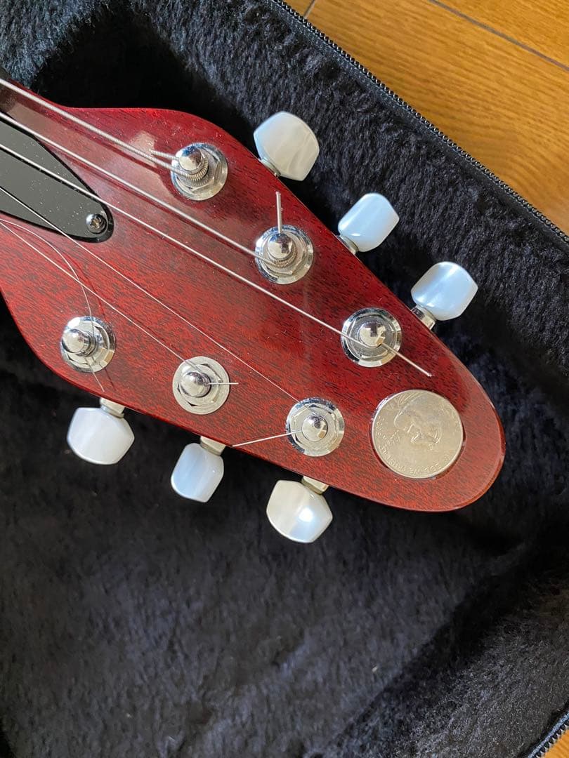 い*ぬ様 レッドスペシャルブランメイモデル ケース付き