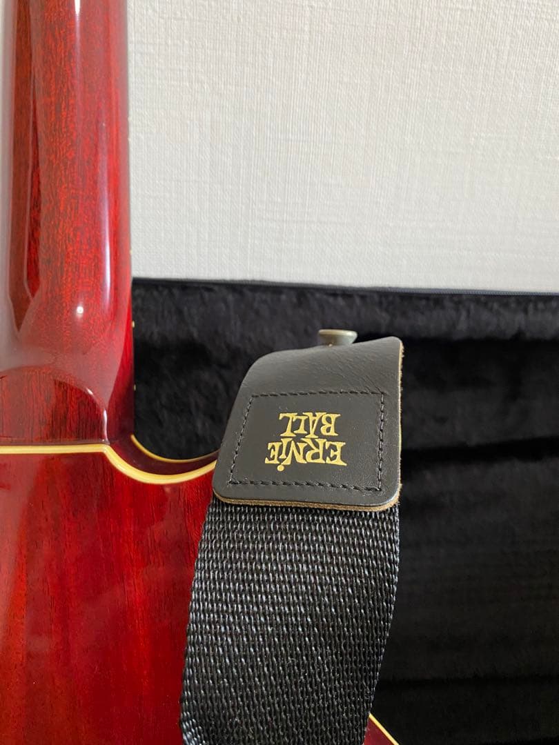 い*ぬ様 レッドスペシャルブランメイモデル ケース付き