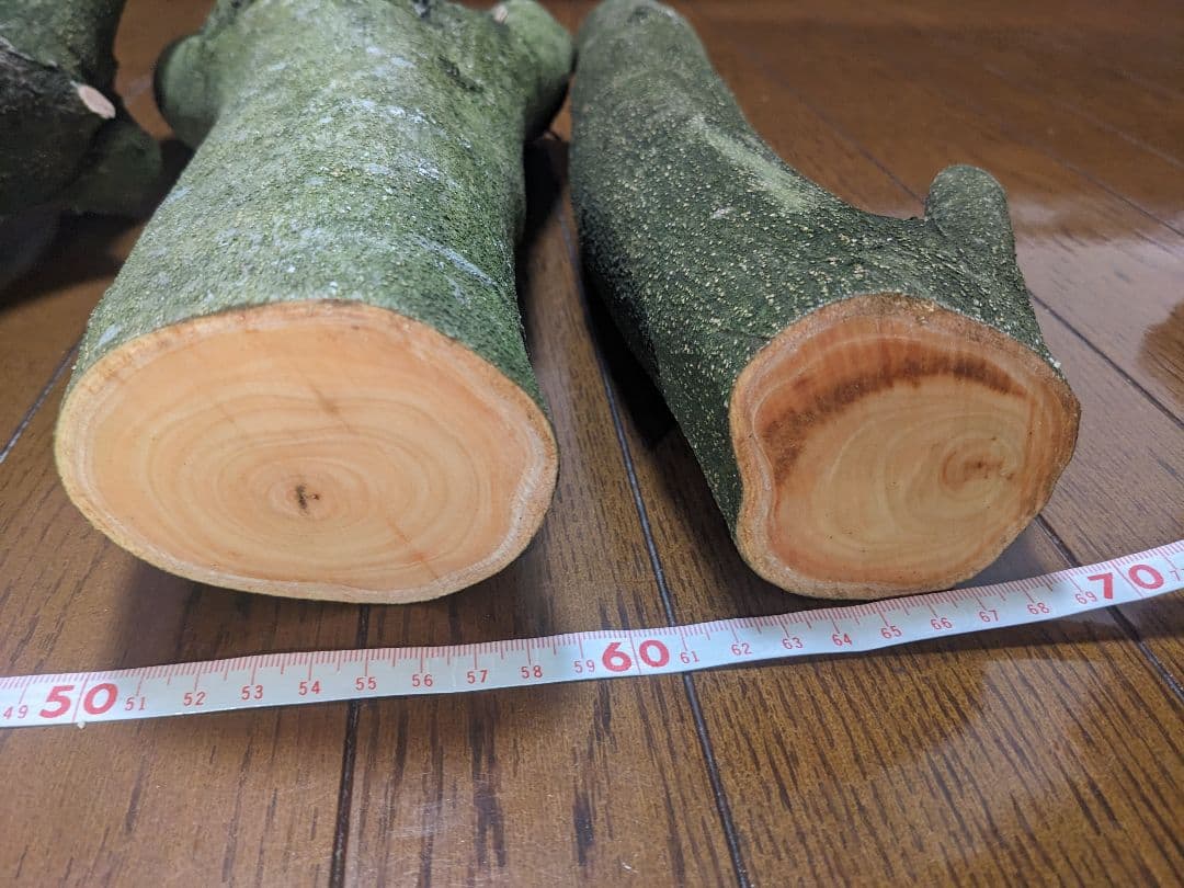 オリーブ　剪定枝　挿し木　太木挿し　極太　盆栽　4本