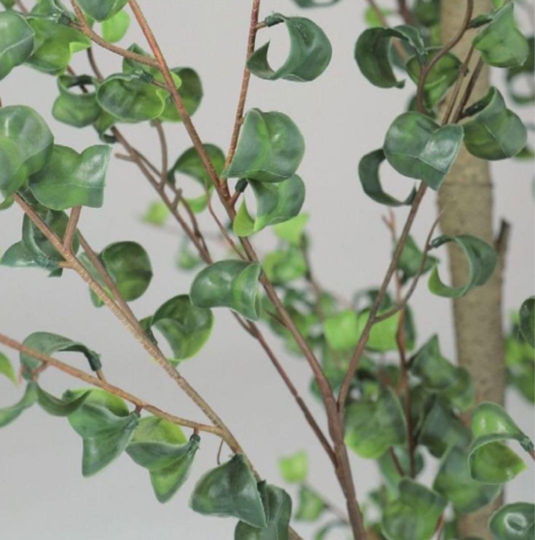 光触媒　人工観葉植物　フェイクグリーン　東北ベンジャミンバロック120